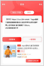 2025京东年货节购物津贴领取指南：五步教你解锁新年省钱攻略