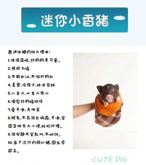 年轻的小蛦2饲养全攻略:科学繁殖技巧与常见问题解析 年轻的小蛦2饲养全攻略:科学繁殖技巧与常见问题解析