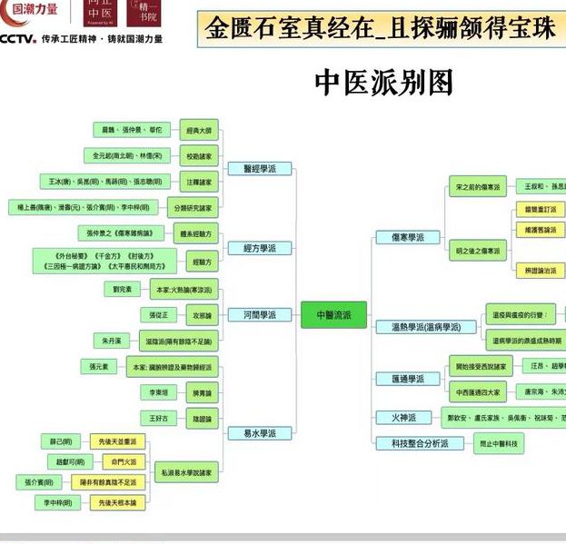 透视医圣小说深度解析:神医男主逆袭之路与中医文化传承探讨 透视医圣小说深度解析:神医男主逆袭之路与中医文化传承探讨
