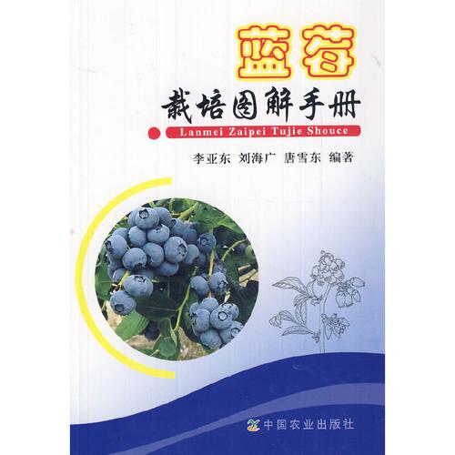 蓝旖琳种子高产栽培技术解析:品种优势与科学种植指南 蓝旖琳种子高产栽培技术解析:品种优势与科学种植指南